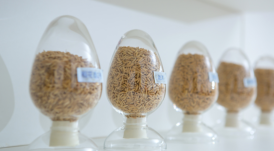 1735869697350679.jpg 未標(biāo)題-5.jpg